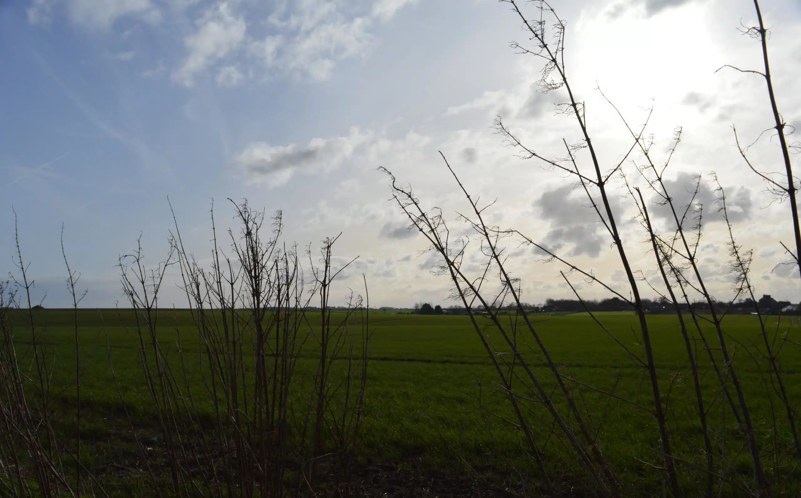 kenwoodcolleys4 scaled