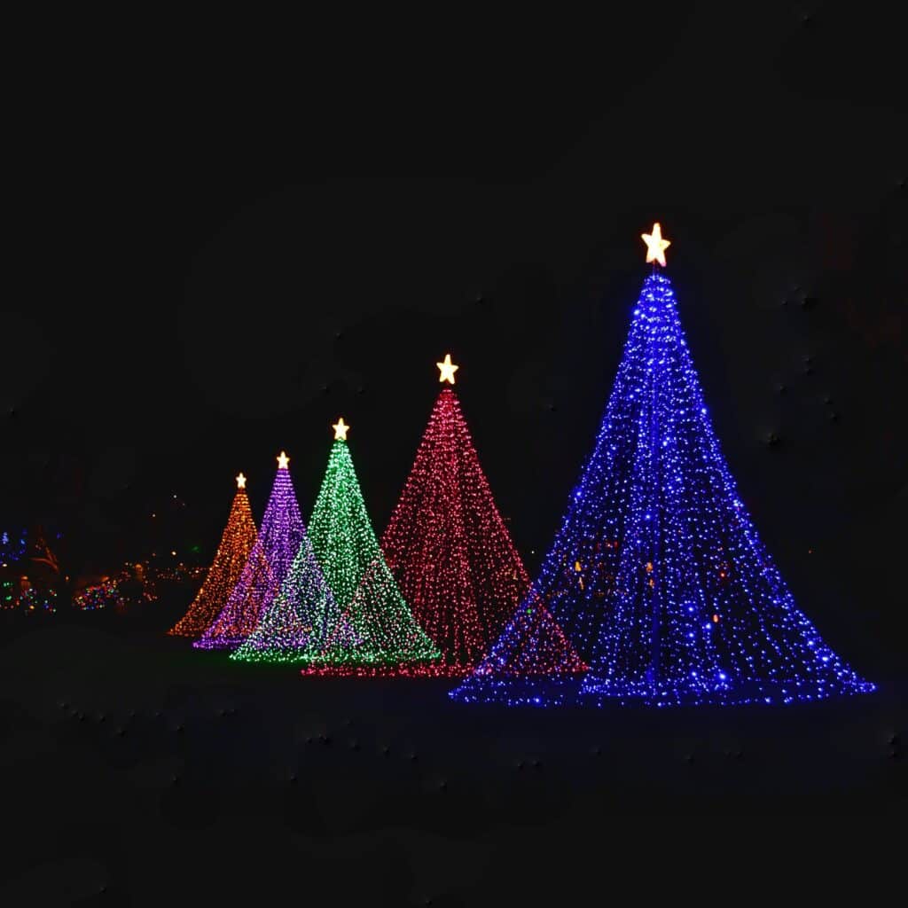 Festive Christmas trees in different colours, creatively arranged.