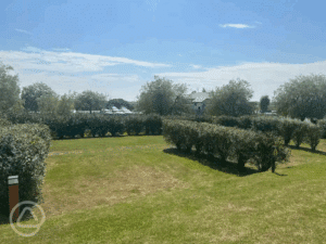 Image of Electric Bittern Grass Pitches (9m x 8m)