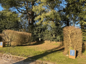 Image of Electric Heron Touring Pitches (6m x 8.5m)