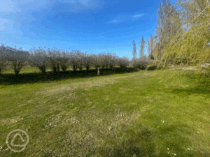 Image of Electric Moorhen Grass Tent Pitches (8m x 5m)