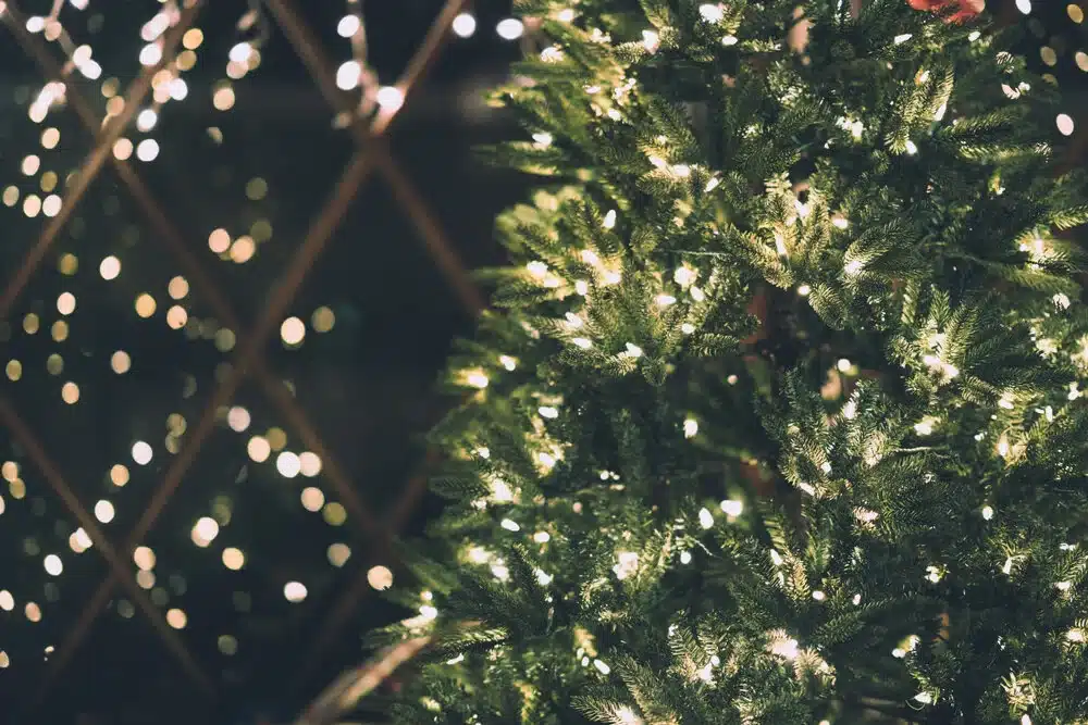 White lights on a Christmas tree, reflected in a window
