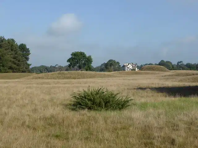 Historic sites in Suffolk: Sutton Hoo Anglo-Saxon burial mounds surrounded by scenic countryside.