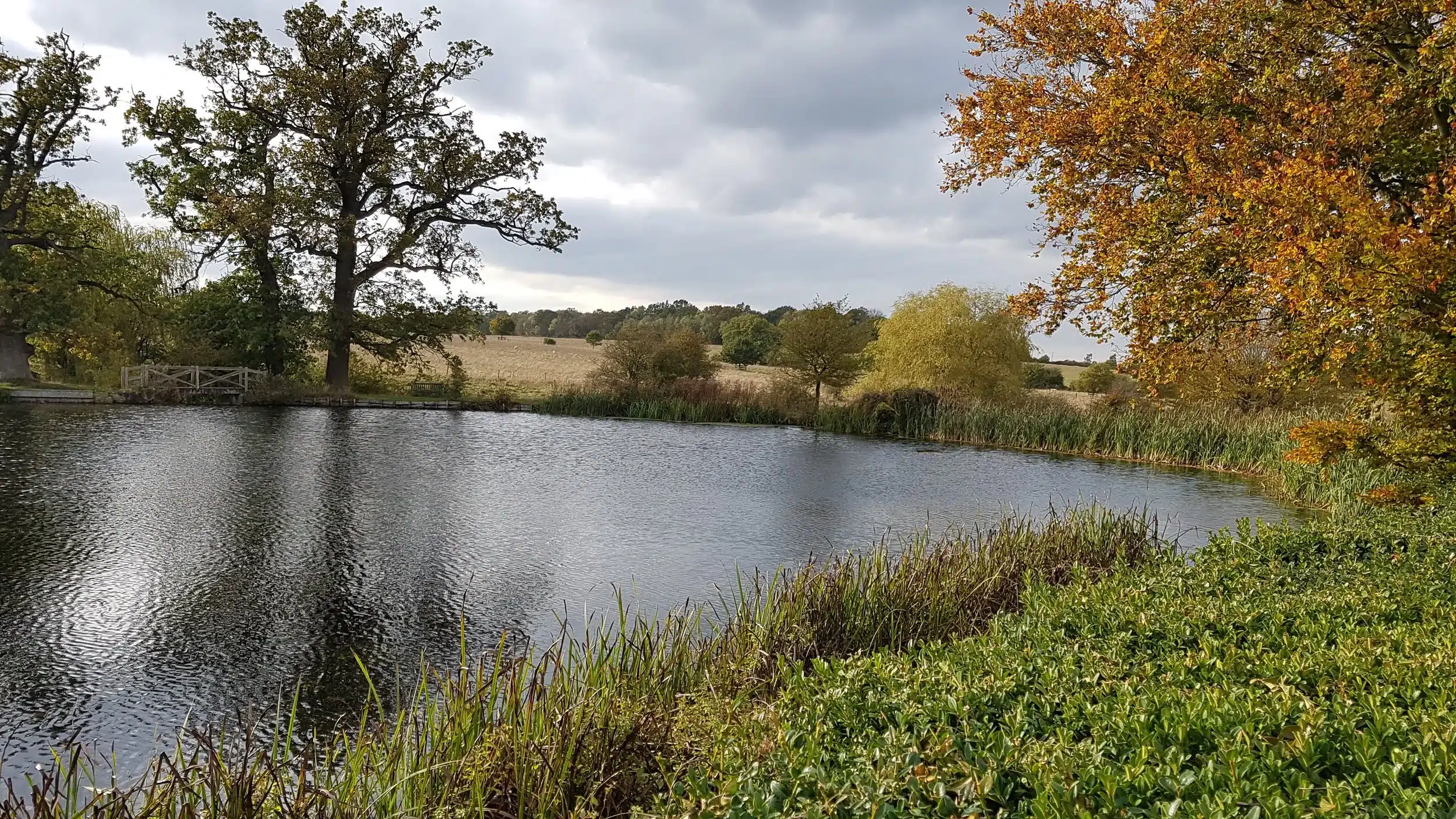 The canal at Ickworth Park surrounded by trees and parkland.