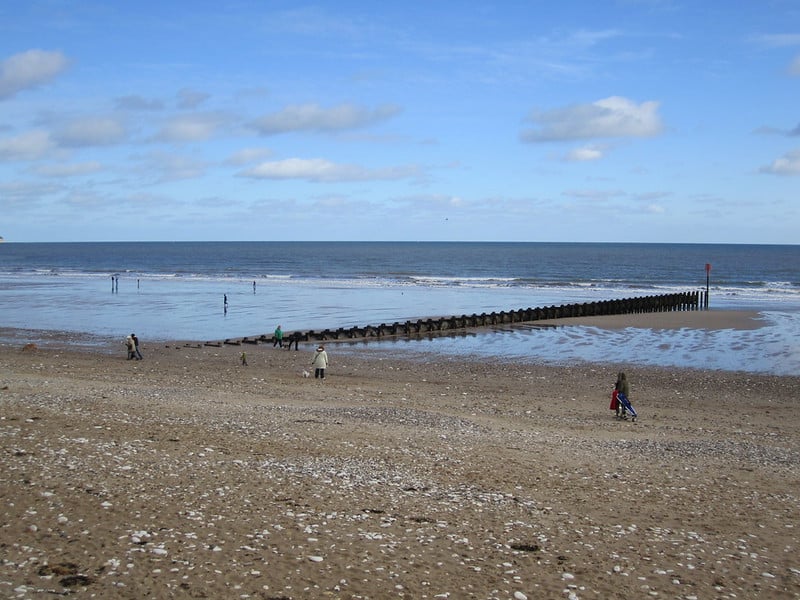 4518498551 a8bb2e2cc5 c