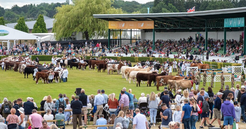 504272098 10162518400801832 8034491852535262236 n