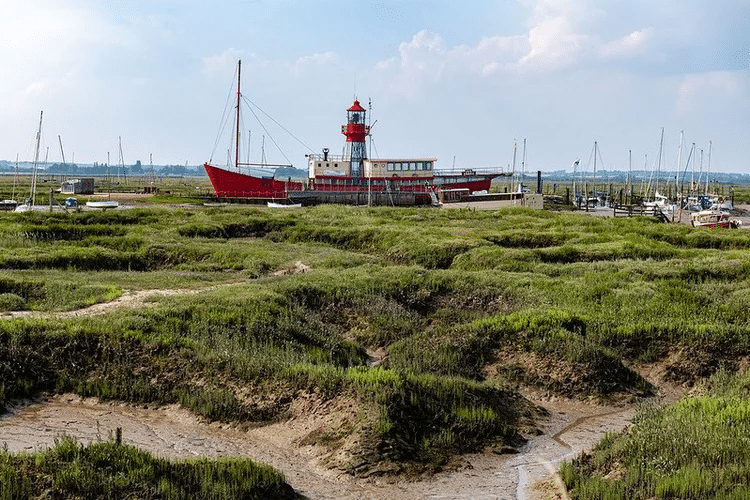 52262772720 8f94530105 c